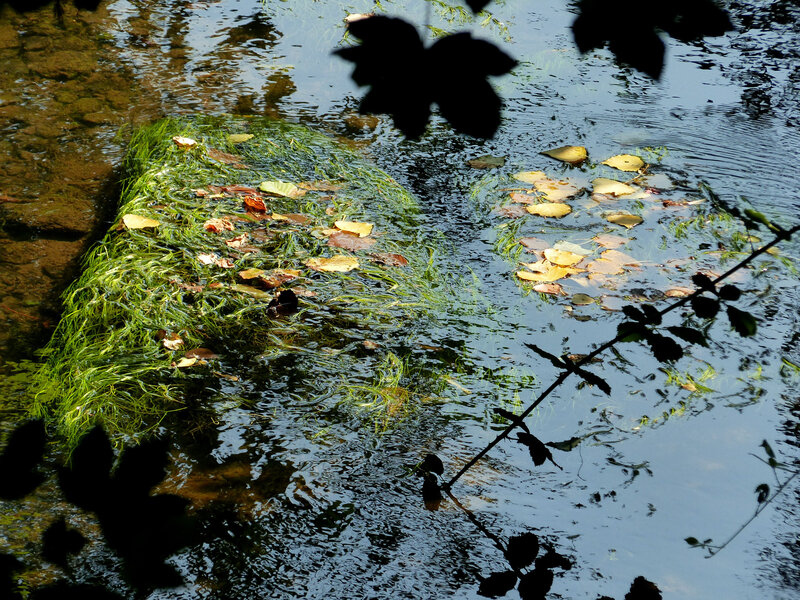 P1270033