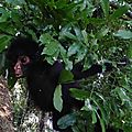 DSC02935 - copie
