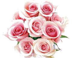 Fresh_Beautiful_Bouquet_Pink_Roses