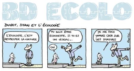 bd_colo