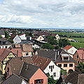 IMG_9130