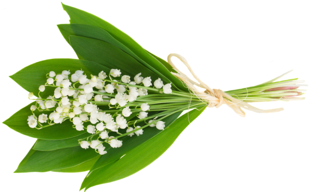 1 mai