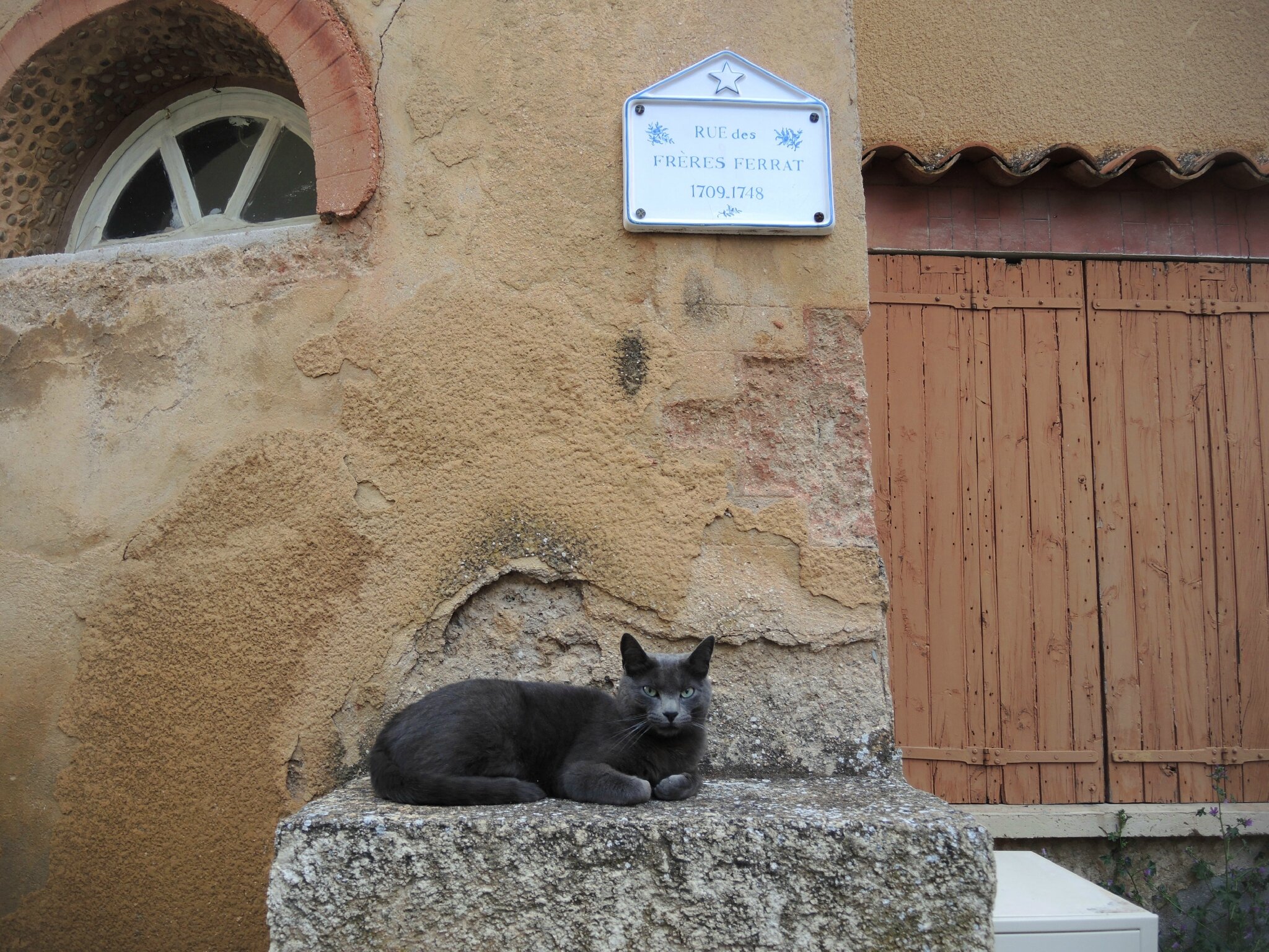 chat sainte marie