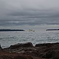 IMG_5884