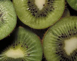 IMG0012