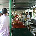 IMG_2560