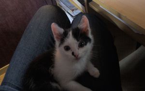 Photo2203
