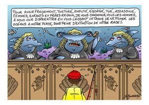 justice de requin