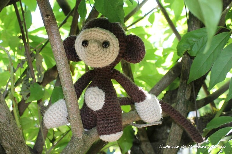 singe-arbre1