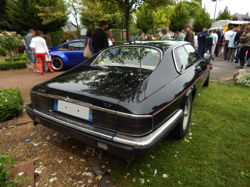 JaguarXJSar