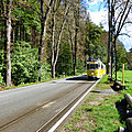 Kirnitzschtalbahn : un tramway dans la forêt