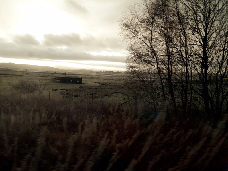 train5