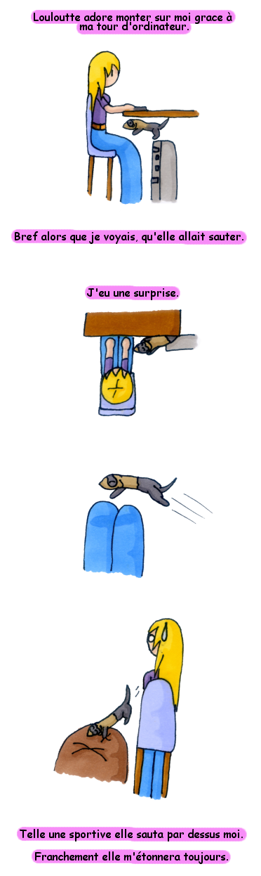 furetsaut