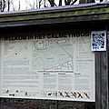 IMGP9391