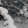 IMG_3120