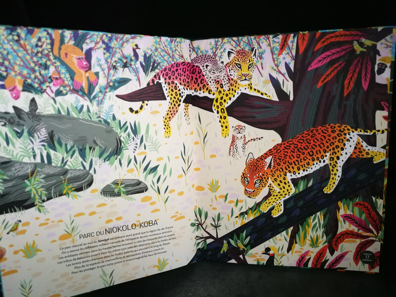 Jungles et réserves naturelles du monde - Editions Nathan 