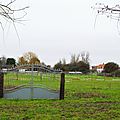 IMGP0145