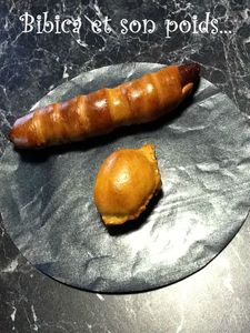 Saucisse fumée en pâte et chausson jambon fumé-chèvre bûche-confit d'oignon
