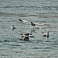 IMG_0472