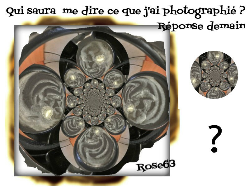 Devinette réponse demain Rose63
