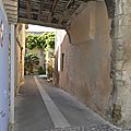 _DSC0353