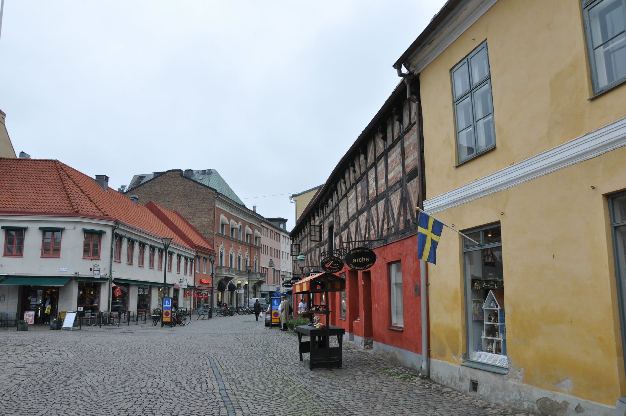 DSC_1293