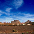 08-Tamanrasset