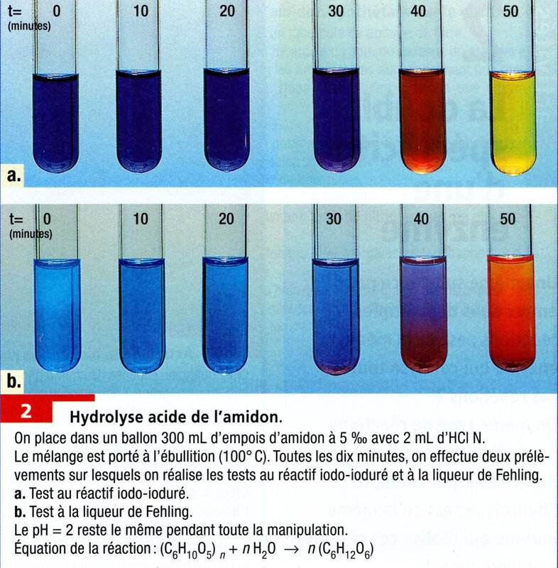 2 page 29 Hydrolyse acide de l'amidon