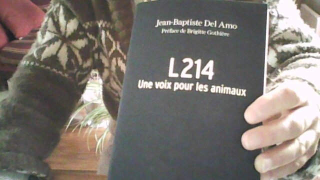 Lhomme Et La Femme Sont Ils Carnivores Ou Omnivores Aucun