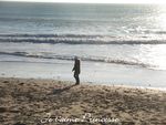 Copie_de_No_l_2008_042