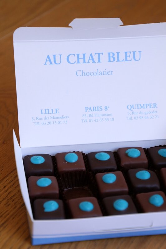 chat bleu