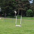 Elfics_2015_dimanche (99)