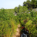 MNJ4 (59)