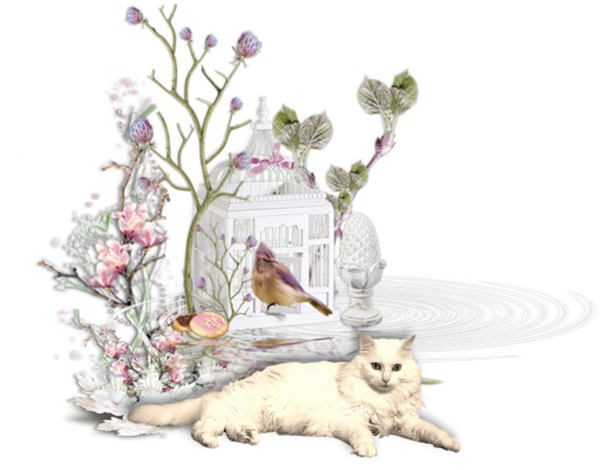 Image2_4