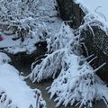 IMG_3100