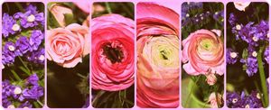 Fleurs5