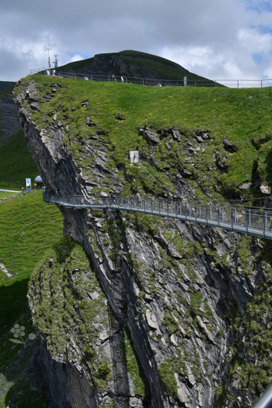 Suisse, Grindelwald First Cliff Walk_7