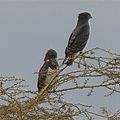 P1140096