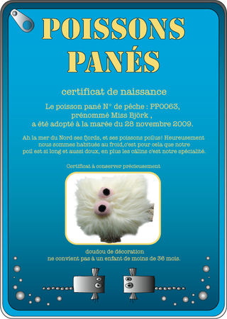 certificat63