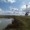 IMG_1251