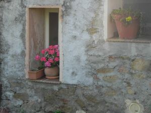 DSCN0035