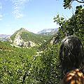 bois sacré (3)