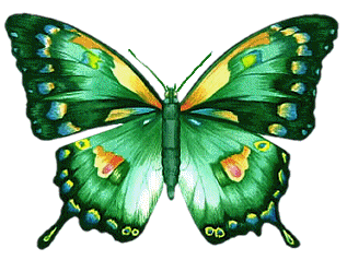 Papillons,1634528-M