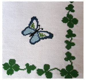 papillon_rond_robin_elo_b