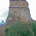 Le château de Montargis surplombant le Loing