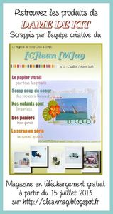 CM 12_affiche - dame de kit