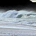 COUP DE COEUR SAFARIA BAY CORSE