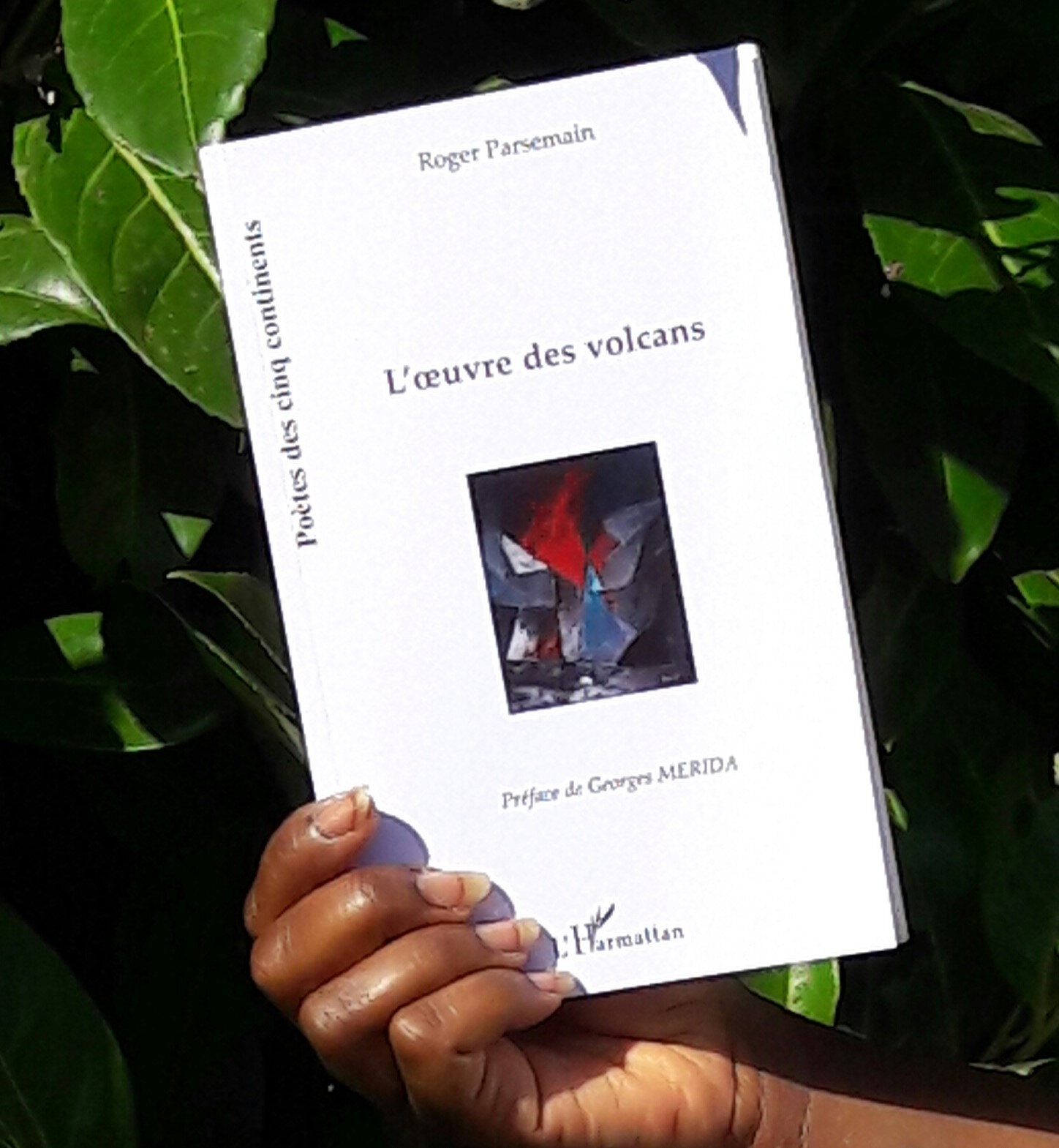 Les Poèmes de Petite Fée, de Mariel Sigogneau - Valets des livres