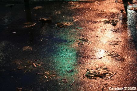 20_novembre_2007_102_copie
