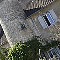 _DSC0155